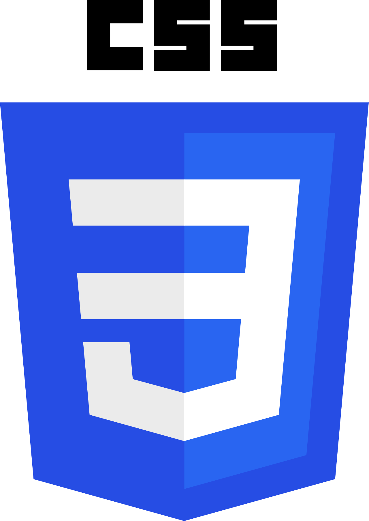 CSS Logo CSS