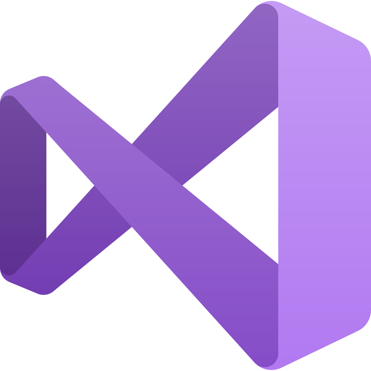 Logo Visual Studio Professional